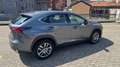 Lexus NX 300 300h Hybrid IBRIDA perfetta Gris - thumbnail 10