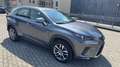 Lexus NX 300 300h Hybrid IBRIDA perfetta Gris - thumbnail 8