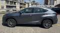 Lexus NX 300 300h Hybrid IBRIDA perfetta Gris - thumbnail 12