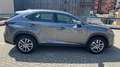 Lexus NX 300 300h Hybrid IBRIDA perfetta Gris - thumbnail 9