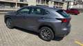 Lexus NX 300 300h Hybrid IBRIDA perfetta Gris - thumbnail 11