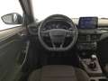 Ford Focus 5 porte 1.0 ecoboost 125cv st-line s&s Blu/Azzurro - thumbnail 14