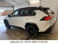 Toyota RAV 4 4 Hybrid Style|LED+|Virtual|360|ACC|TechnikP Weiß - thumbnail 7