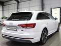 Audi A4 Avant 2.0 TDI S-LINE SPORT / VIRTUAL-COCKPIT Weiß - thumbnail 11
