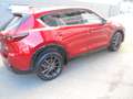 Mazda CX-5 Homura AWD Leder, 1.Hand Rouge - thumbnail 5
