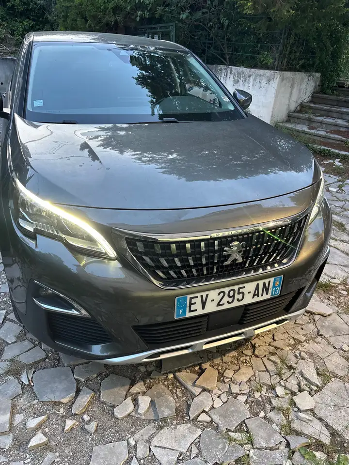 Peugeot 3008 3008 — photo 15