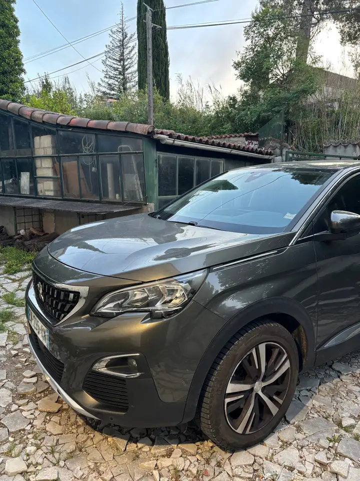 Peugeot 3008 3008 — photo 3
