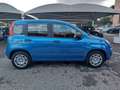 Fiat Panda 1.0 FireFly S&S Hybrid Icon Blu/Azzurro - thumbnail 8