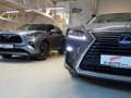 Lexus RX 450h L *HYBRID *ALLRAD *7-SITZER *PRESIDENT Gris - thumbnail 3
