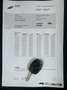 Ford Mondeo 1.8 16V 125pk First Edition AIRCO, TREKHAAK, NIEUW Zwart - thumbnail 13