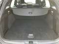Ford Focus 1.5 EcoBlue ST-Line LED/WIPA/PDC/AUT. Noir - thumbnail 19