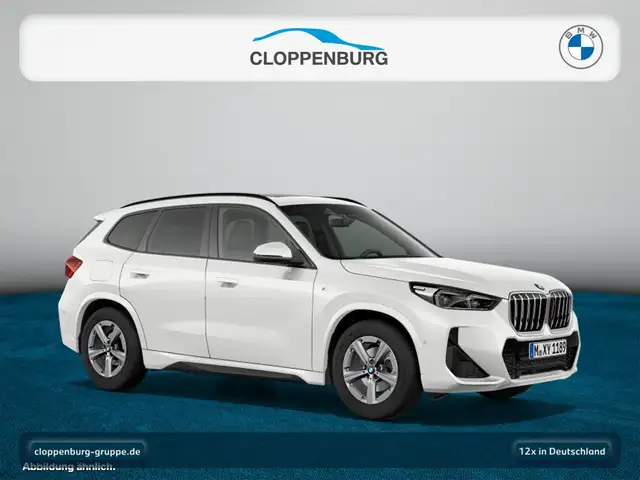 BMW X1 view 10