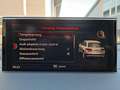 Audi Q7 3.0 TDI Quattro°Bose°Pano°AHK°ACC°Spur°Stdhzg Gris - thumbnail 22