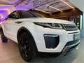 Land Rover Range Rover Evoque 2.0 CABRIO HSE DYNAMIC 150CV DIESEL C.AUT. Blanc - thumbnail 3