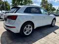 Audi Q5 40 TFSI quattro S line Weiß - thumbnail 6