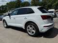 Audi Q5 40 TFSI quattro S line Weiß - thumbnail 5
