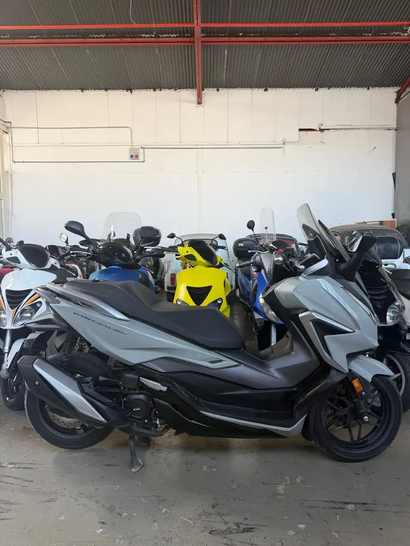 Honda Forza 350 Grigio - 2