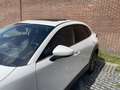 Mazda CX-30 2.0 e-SkyActiv-X 180 M Hybrid Luxury | AUTOMAAT | Bianco - thumbnail 8