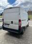 Peugeot Boxer L2H2 110HDI Weiß - thumbnail 6