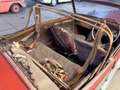 Oldtimer Alvis TA14 DHC  right hand drive - thumbnail 11