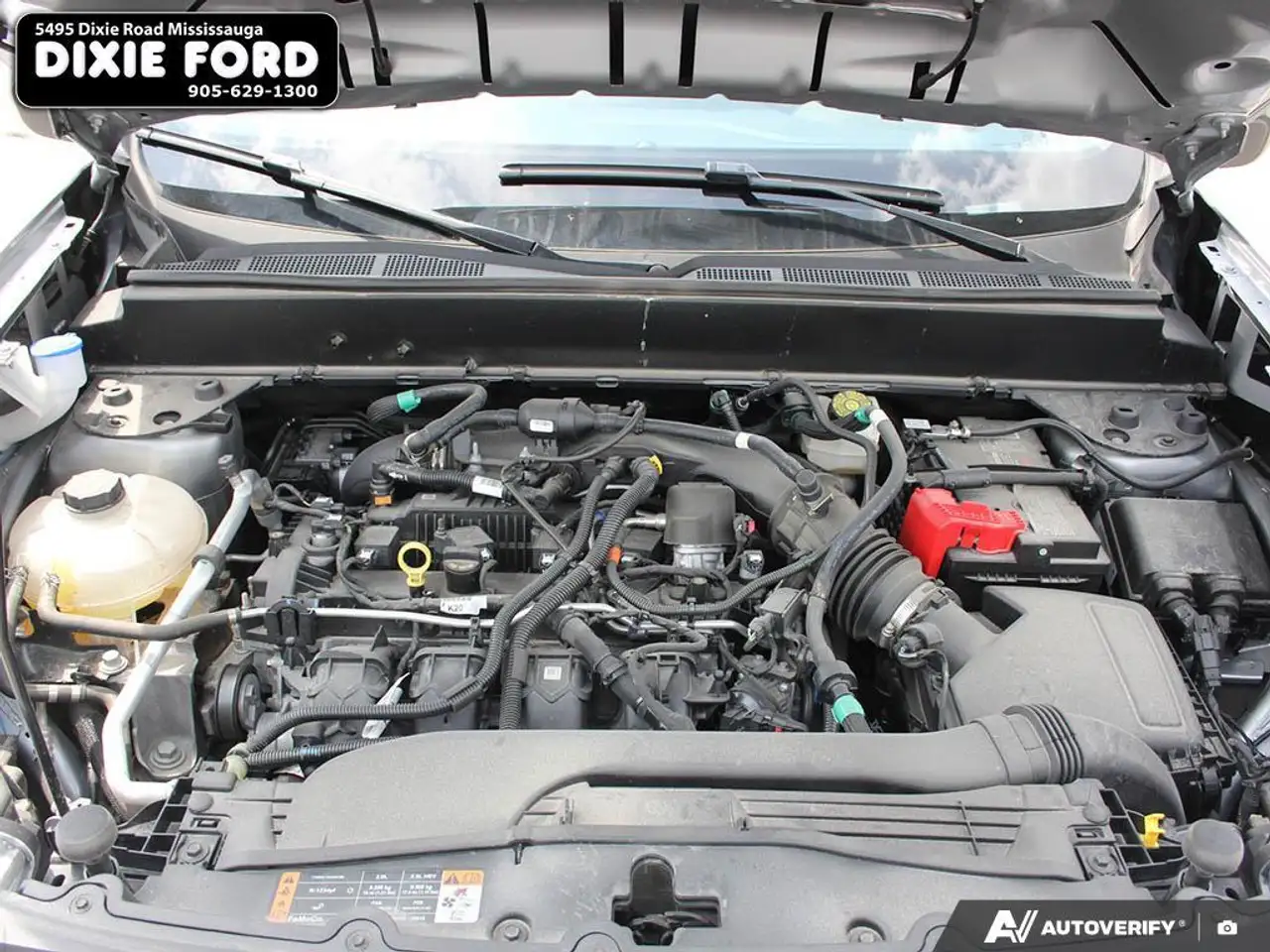Ford Maverick photo Ford Maverick