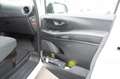Mercedes-Benz Vito Kasten 116 CDI  RWD extralang Klima AHK Blanc - thumbnail 12