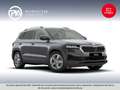 Skoda Karoq 4x4 Selection TDI DSG Grau - thumbnail 1
