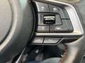 Subaru Forester Edition Sport 40 AHK Abnahmbar Silber - thumbnail 10