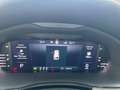 Skoda Scala 1.0 tsi selection 115cv dsg Grigio - thumbnail 11