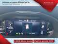 Skoda Scala 1.0 tsi selection 115cv dsg Grey - thumbnail 11