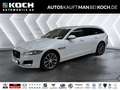 Jaguar XF 25d AWD Prestige LEDER XENON NAVI KAMERA Klima Blanc - thumbnail 1