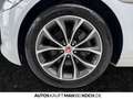 Jaguar XF 25d AWD Prestige LEDER XENON NAVI KAMERA Klima Blanc - thumbnail 16