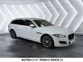 Jaguar XF 25d AWD Prestige LEDER XENON NAVI KAMERA Klima Blanc - thumbnail 6