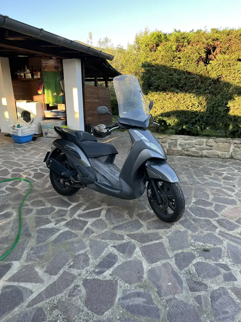 Peugeot Geopolis 300 - 1