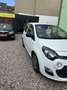 Renault Twingo Expression ***KLIMAANLAGE***MIT NEU TÜV*** Weiß - thumbnail 1