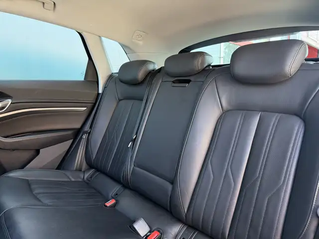Audi Q8 E-Tron view 7