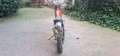 Montesa Cota 247 Rot - thumbnail 2