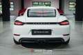 Porsche Cayman 718 PDK BELGIAN CAR - 1ST PAINT - NO OPF Blanc - thumbnail 8