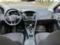 Ford Focus 1.0 EcoBoost Titanium Business |CAMERA|ST+STUUR VW Grijs - thumbnail 4