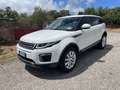 Land Rover Range Rover Evoque 5p 2.0 td4 SE 150cv auto MOTORE NUOVO Bianco - thumbnail 1