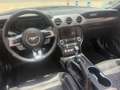 Ford Mustang Convertible 5.0 Ti-VCT GT Aut. Negro - thumbnail 21