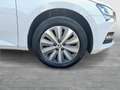 Skoda Superb Combi 2.0 TDI Style AHK+LED+NAVI+RADAR+LM Weiß - thumbnail 7