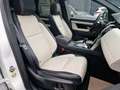 Land Rover Discovery Sport Hybrid R-Dynamic S AWD Weiß - thumbnail 14