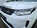 Land Rover Discovery Sport Hybrid R-Dynamic S AWD Weiß - thumbnail 37