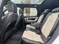 Land Rover Discovery Sport Hybrid R-Dynamic S AWD Weiß - thumbnail 12