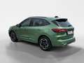Ford Kuga 2,5 Duratec FHEV ST-Line X Allrad Aut. Grün - thumbnail 5