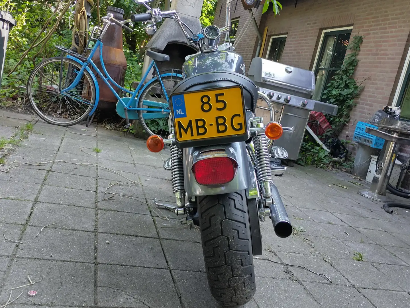 Harley-Davidson Sportster 1200 Zilver - 2