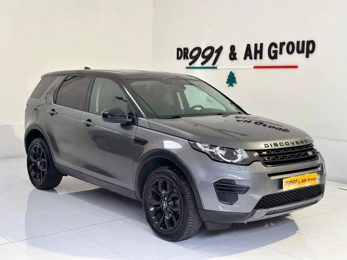 Land Rover Discovery Sport Discovery Sport 2.0 td4 HSE Luxury awd 150cv auto Gris - 1
