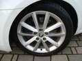 Skoda Octavia Octavia III Combi 1.8 TSI DSG/Leder/SH/PDC/Navi Weiß - thumbnail 6