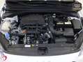 Kia Ceed / cee'd 1.0 T-GDI Drive 100 Blanco - thumbnail 13
